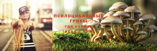 круглые Богородицк