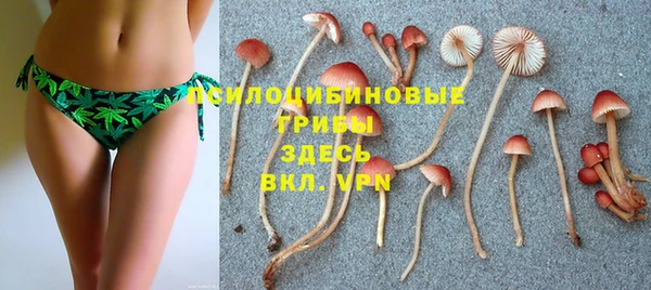 круглые Богородицк